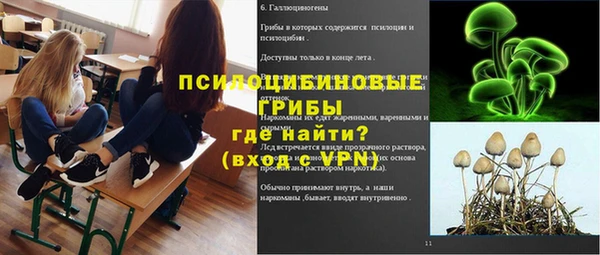 apvp Алексеевка